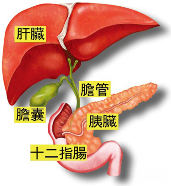 明報 - 醫事網