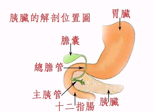 明報 - 醫事網