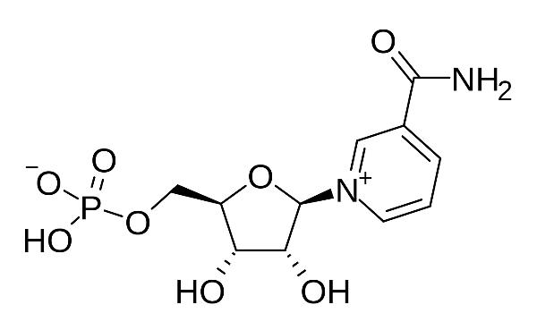 明報 - 醫事網