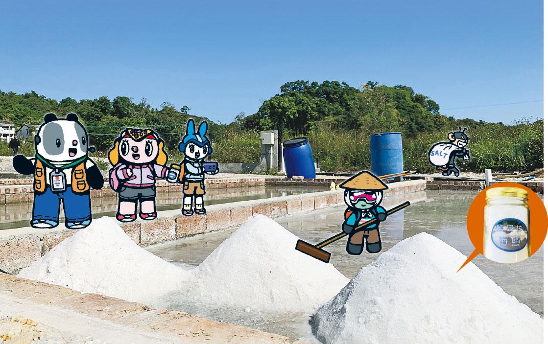 News feedGLocally-made salt