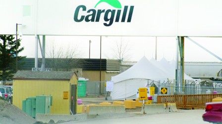 CargilltOרi