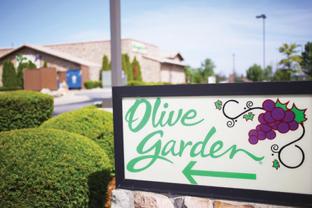 d~S ~歿W Olive Gardenq13%